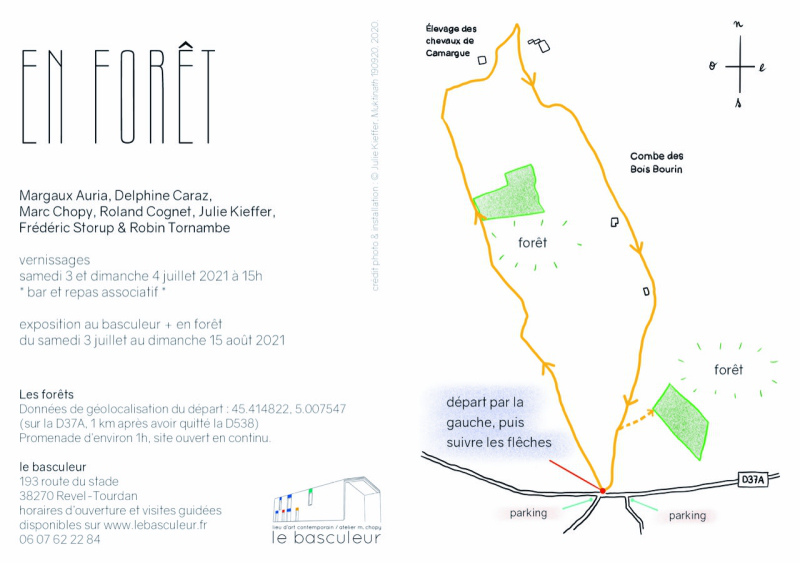 files/carton-en-foret-2.jpg