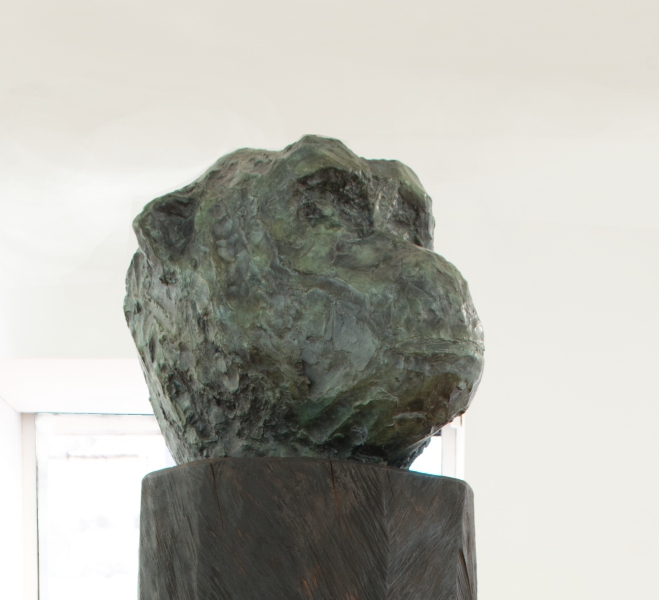 files/chimpanze-rapproche.jpg