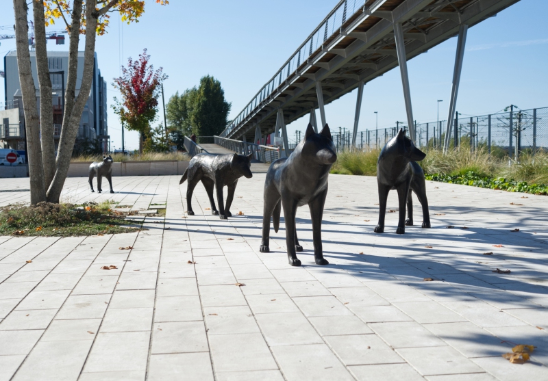 files/erable-et-loups-angers-perspective.jpg
