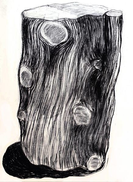 files/l-ombre-est-noir-fusain.jpg