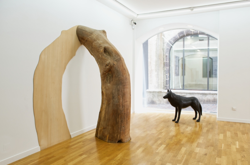 files/thuya-et-gd-loup-1-bis.jpg